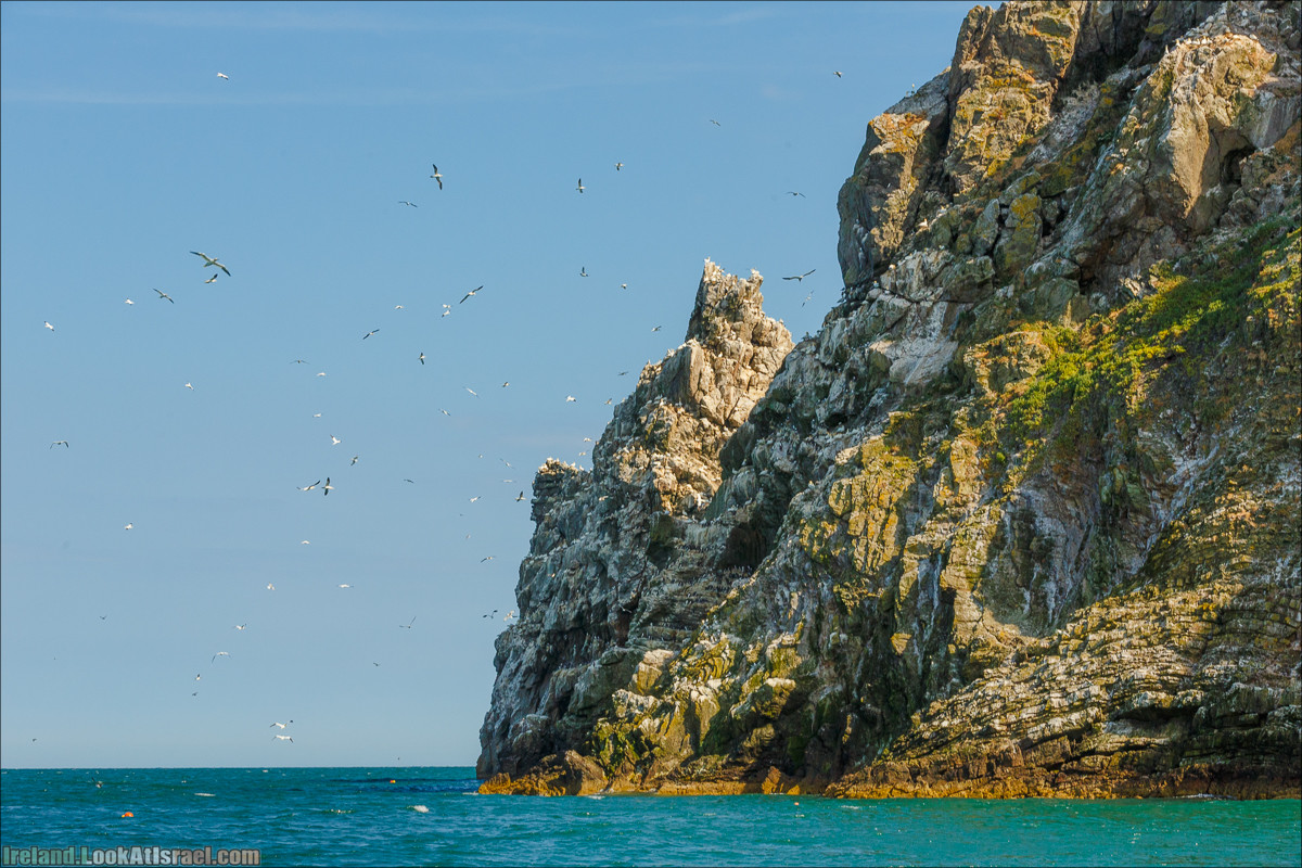 Полуостров Хоут (Howth) и остров Глаз Ирландии (Ирландский глаз) Ireland's Eye, Замок Хоут (Howth Castle) - LookAtIsrael.com путешествует по Ирландии