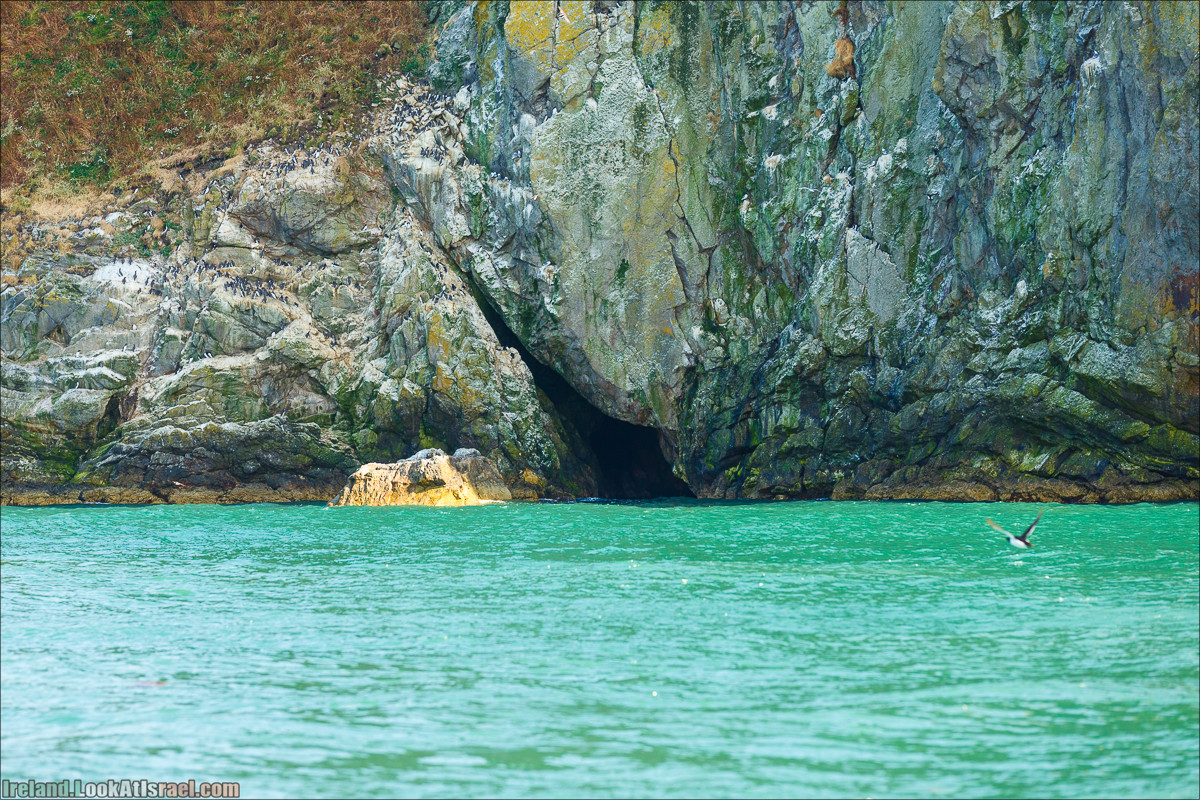 Полуостров Хоут (Howth) и остров Глаз Ирландии (Ирландский глаз) Ireland's Eye, Замок Хоут (Howth Castle) - LookAtIsrael.com путешествует по Ирландии