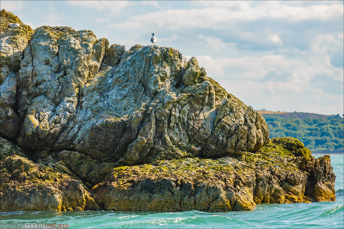 Полуостров Хоут (Howth) и остров Глаз Ирландии (Ирландский глаз) Ireland's Eye, Замок Хоут (Howth Castle) - LookAtIsrael.com путешествует по Ирландии