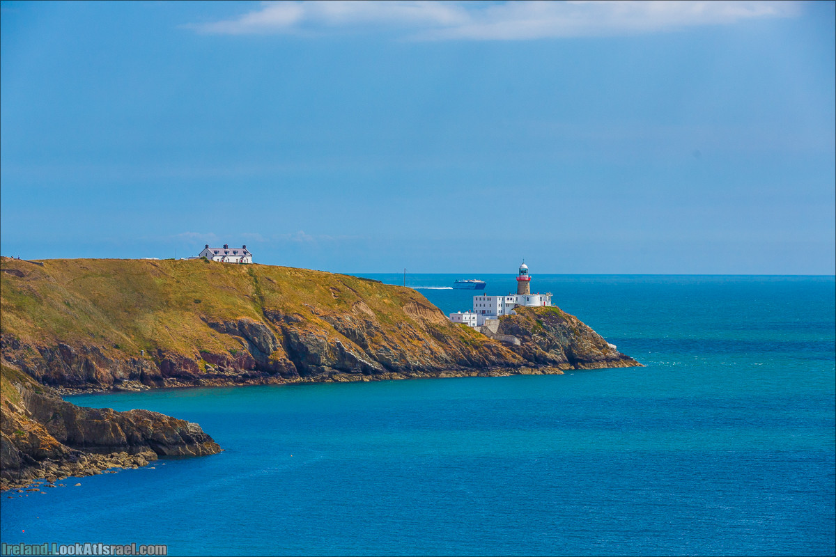 Болото лягушек без болота и лягушек
