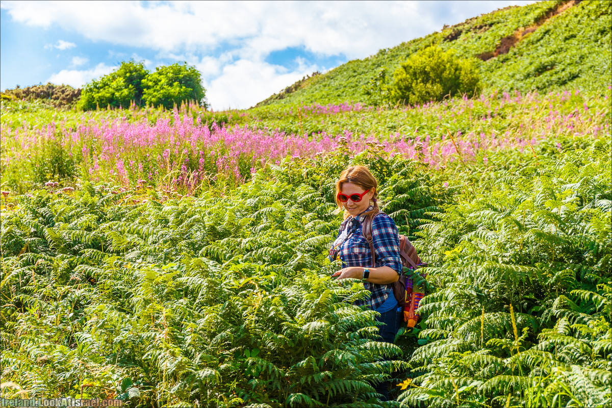 Круговой пеший трек вокруг полуострова Хоут (Howth) - LookAtIsrael.com путешествует по Ирландии