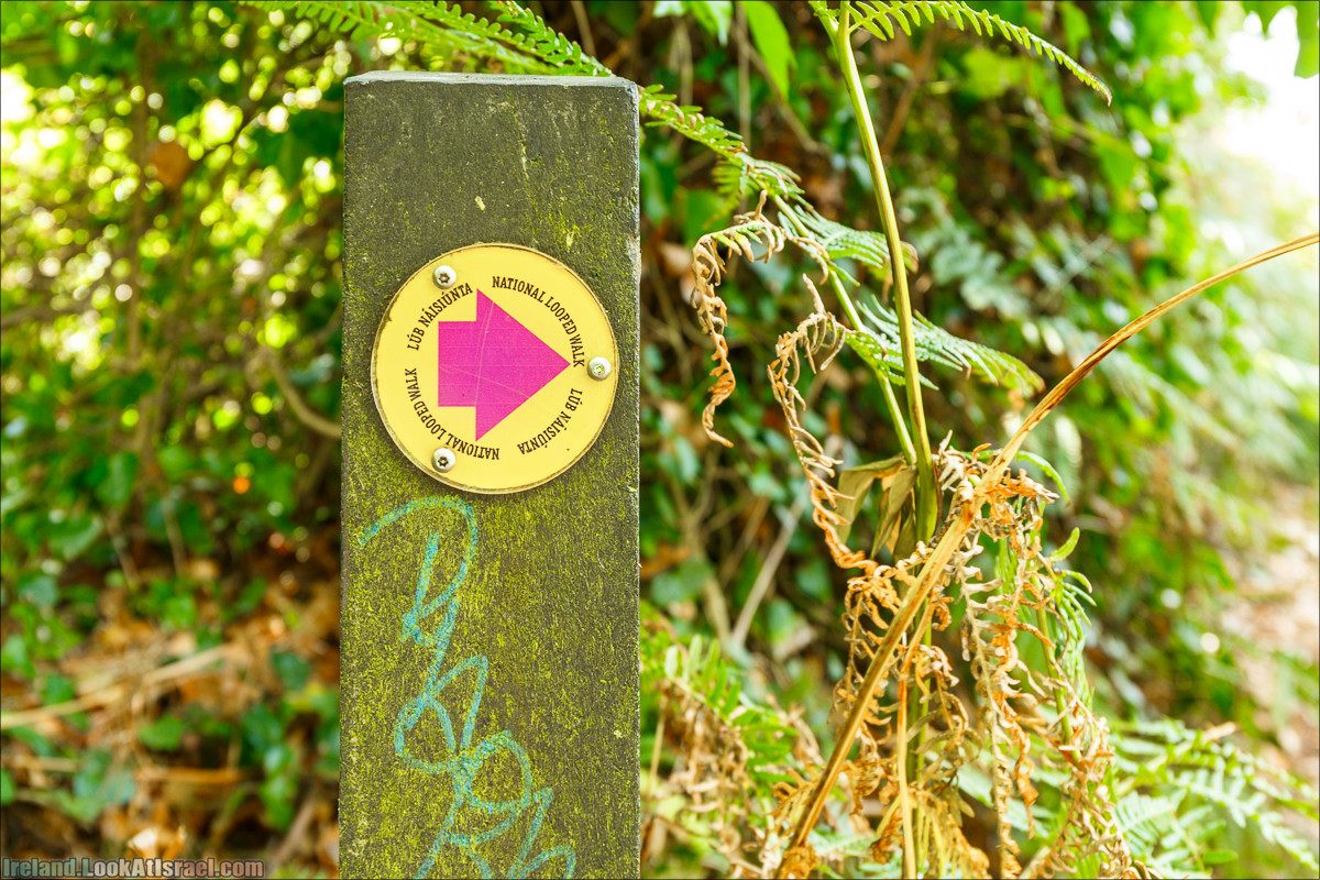 Круговой пеший трек вокруг полуострова Хоут (Howth) - LookAtIsrael.com путешествует по Ирландии