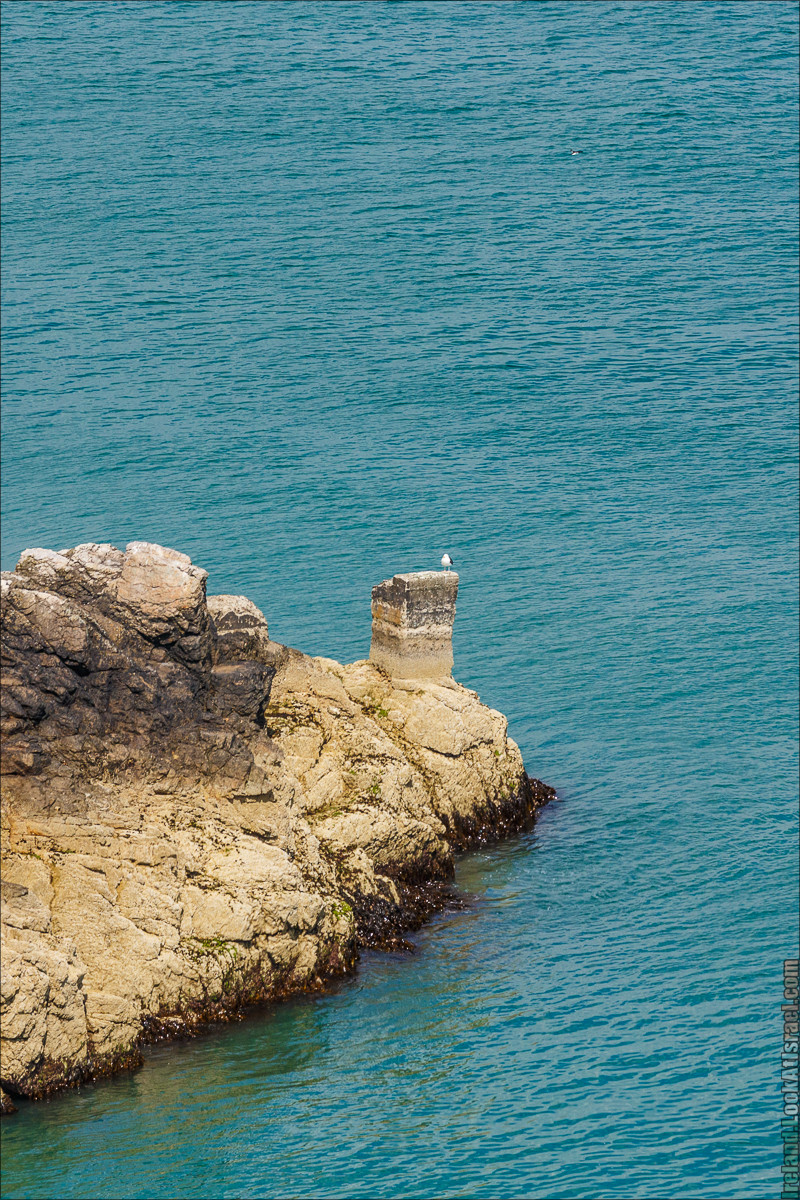 Круговой пеший трек вокруг полуострова Хоут (Howth) - LookAtIsrael.com путешествует по Ирландии