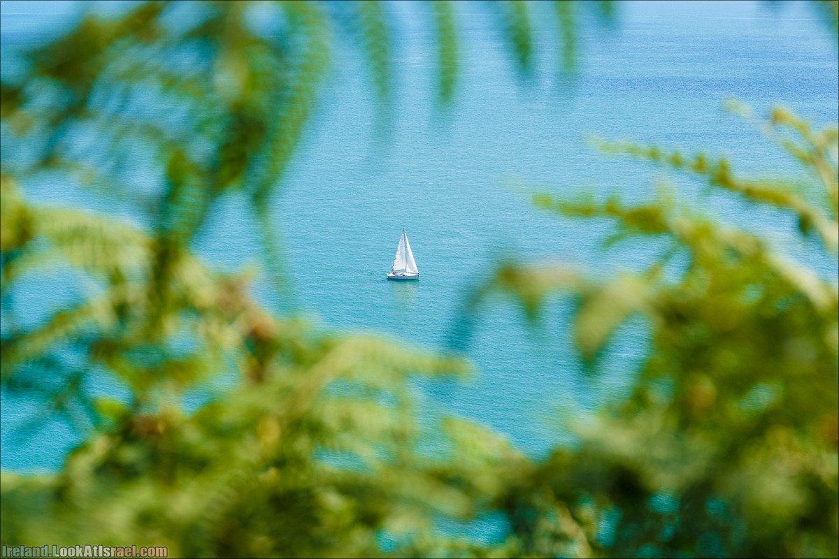 Круговой пеший трек вокруг полуострова Хоут (Howth) - LookAtIsrael.com путешествует по Ирландии