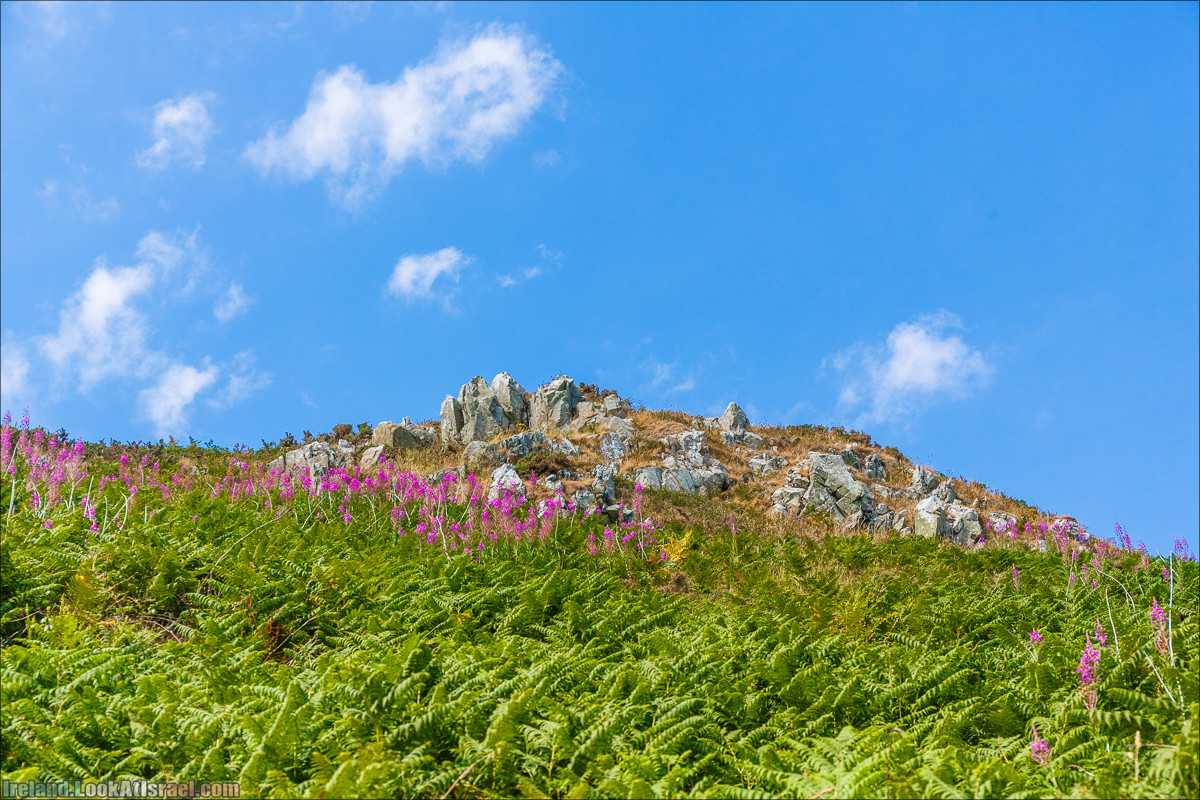 Круговой пеший трек вокруг полуострова Хоут (Howth) - LookAtIsrael.com путешествует по Ирландии