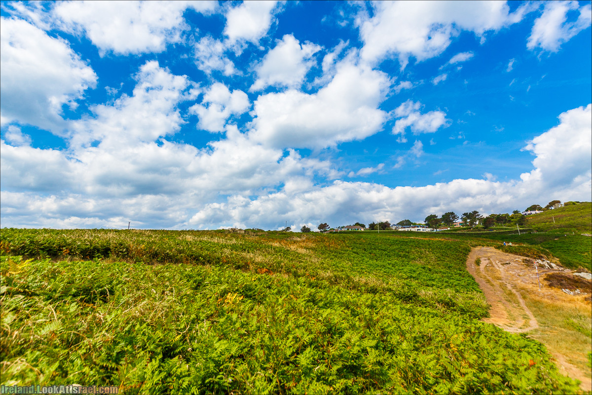 Круговой пеший трек вокруг полуострова Хоут (Howth) - LookAtIsrael.com путешествует по Ирландии