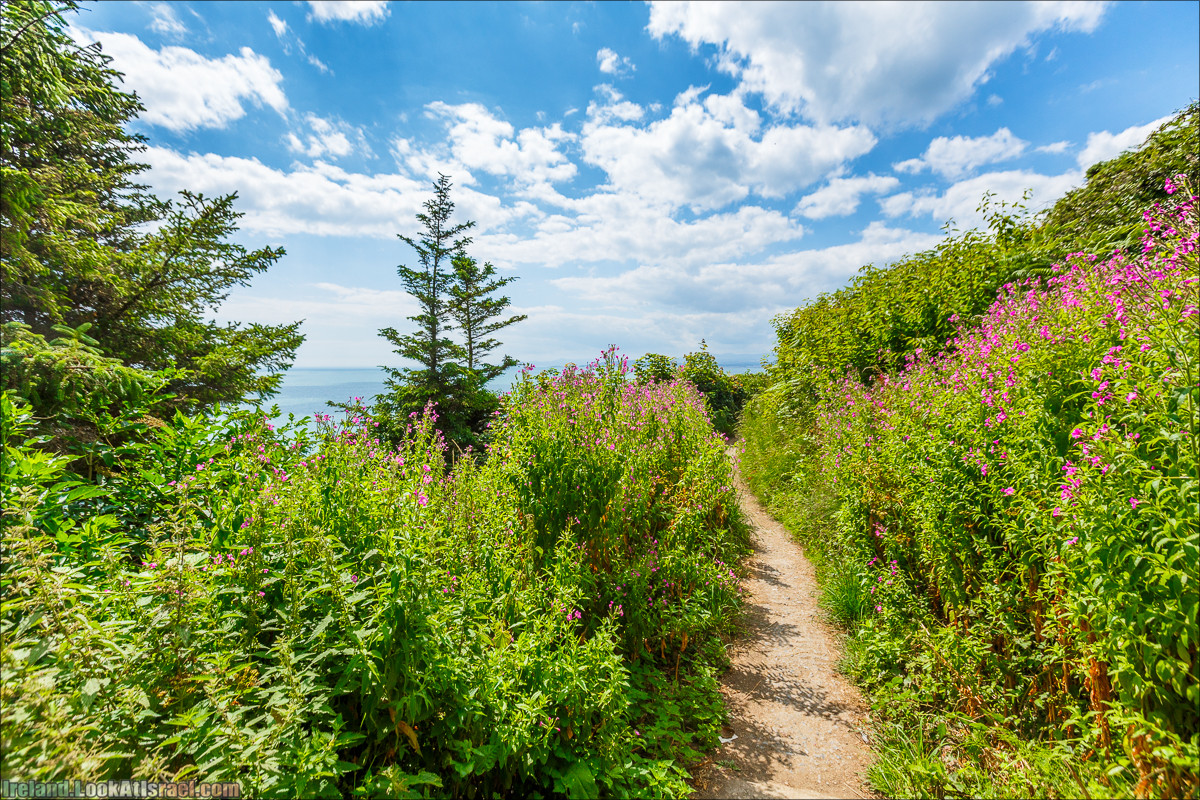Круговой пеший трек вокруг полуострова Хоут (Howth) - LookAtIsrael.com путешествует по Ирландии