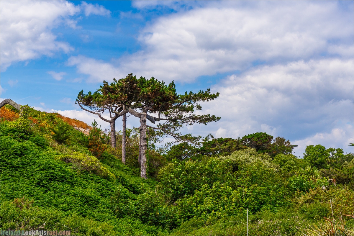 Круговой пеший трек вокруг полуострова Хоут (Howth) - LookAtIsrael.com путешествует по Ирландии