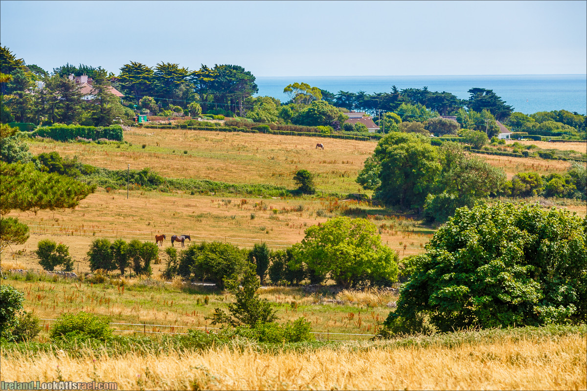 Круговой пеший трек вокруг полуострова Хоут (Howth) - LookAtIsrael.com путешествует по Ирландии