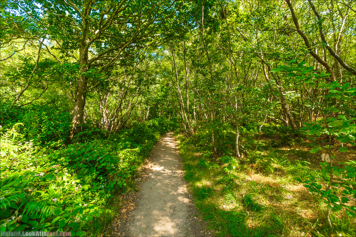 Круговой пеший трек вокруг полуострова Хоут (Howth) - LookAtIsrael.com путешествует по Ирландии