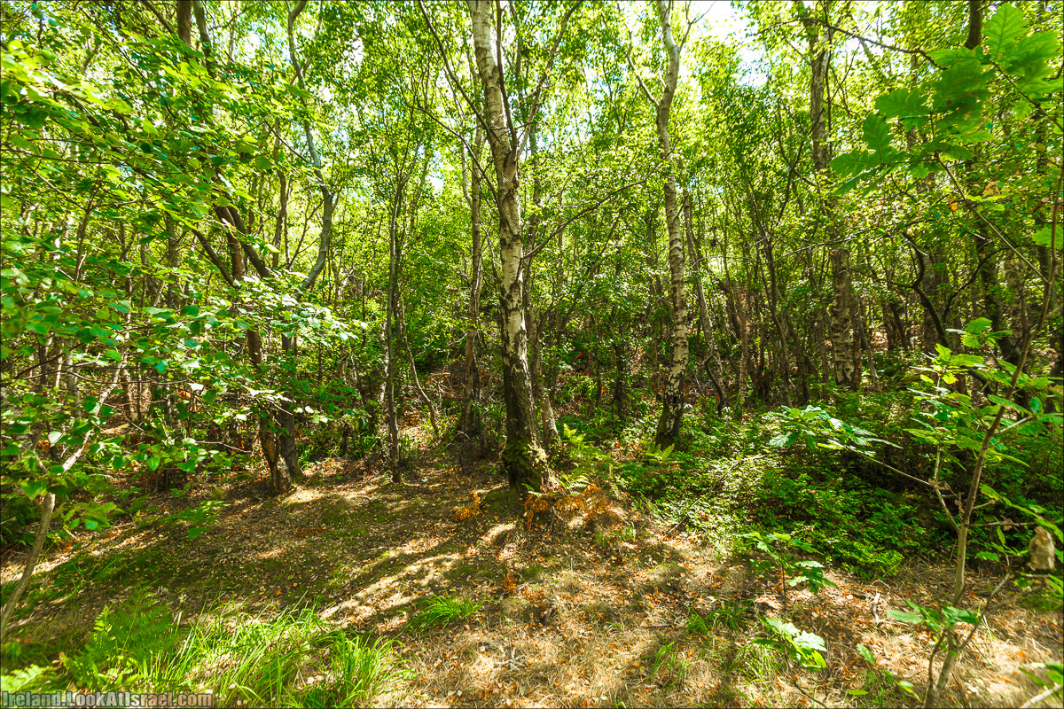 Круговой пеший трек вокруг полуострова Хоут (Howth) - LookAtIsrael.com путешествует по Ирландии