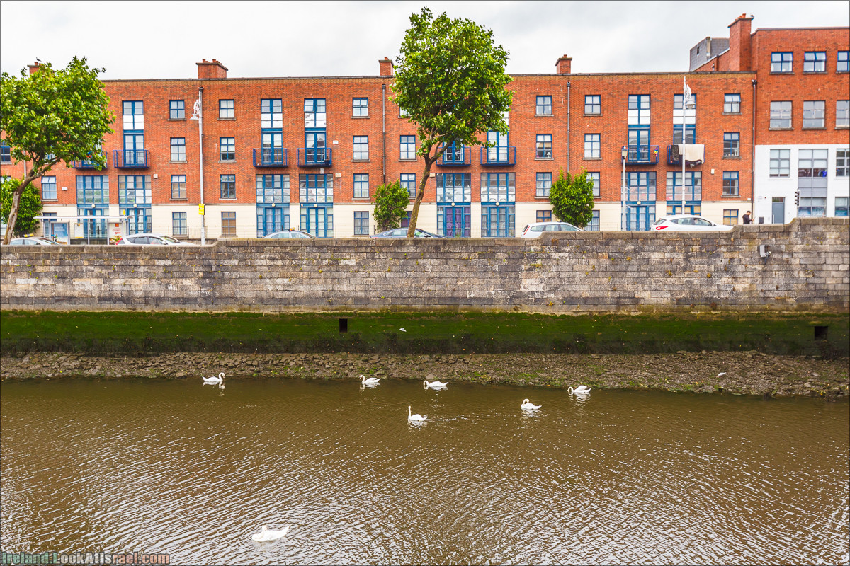 Дублин - Феникс парк и его олени, Национальный музей лепреконов и его сказки - LookAtIsrael.com путешествует по Ирландии