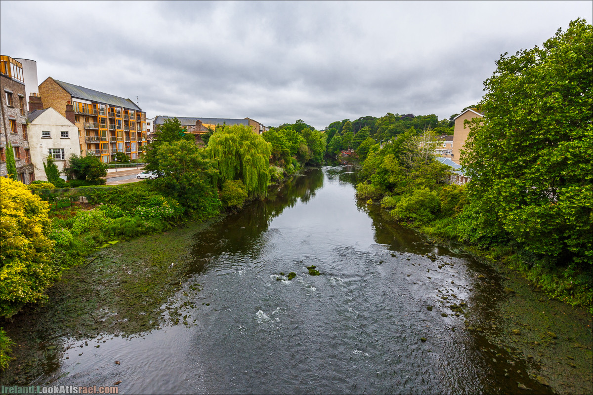 Дублин - Феникс парк и его олени, Национальный музей лепреконов и его сказки - LookAtIsrael.com путешествует по Ирландии