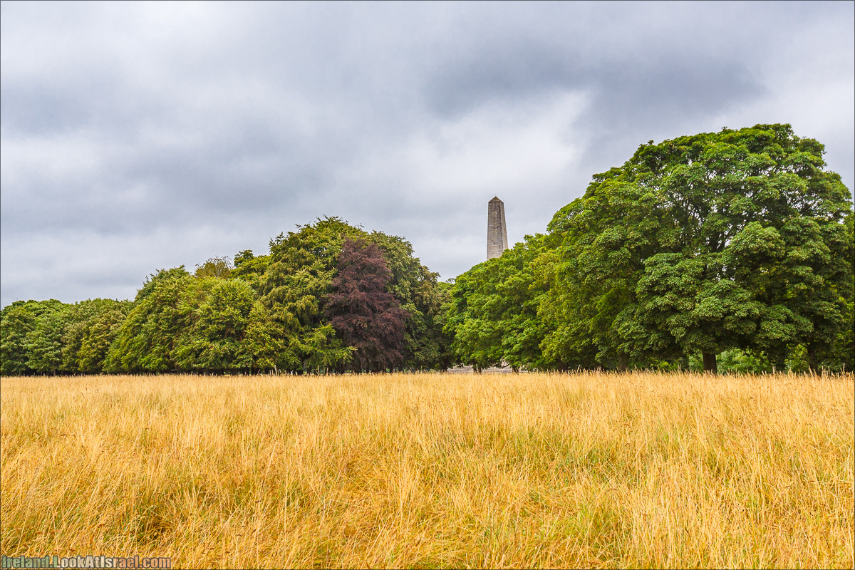 Дублин - Феникс парк и его олени, Национальный музей лепреконов и его сказки - LookAtIsrael.com путешествует по Ирландии