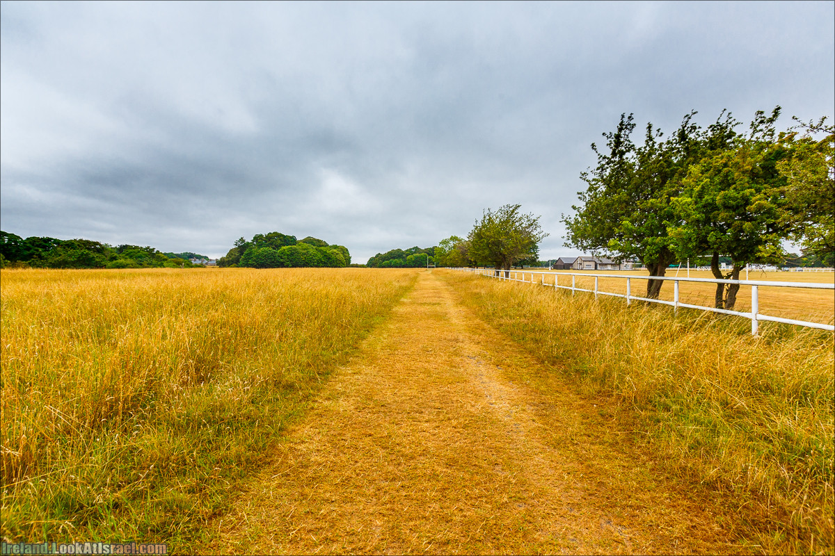 Дублин - Феникс парк и его олени, Национальный музей лепреконов и его сказки - LookAtIsrael.com путешествует по Ирландии