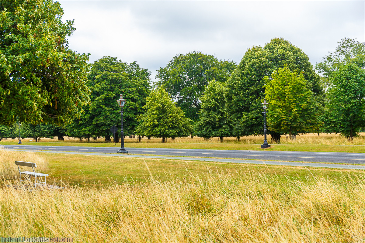 Дублин - Феникс парк и его олени, Национальный музей лепреконов и его сказки - LookAtIsrael.com путешествует по Ирландии