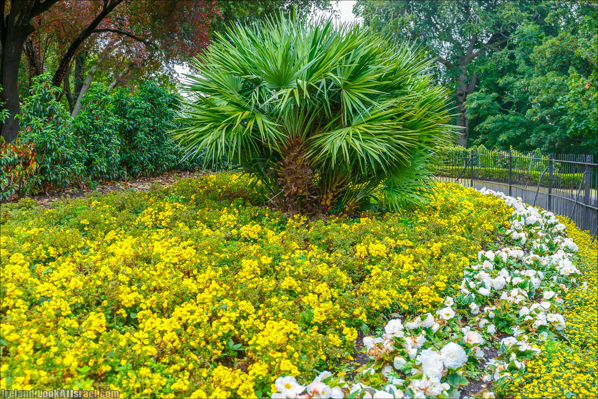 Дублин - Феникс парк и его олени, Национальный музей лепреконов и его сказки - LookAtIsrael.com путешествует по Ирландии