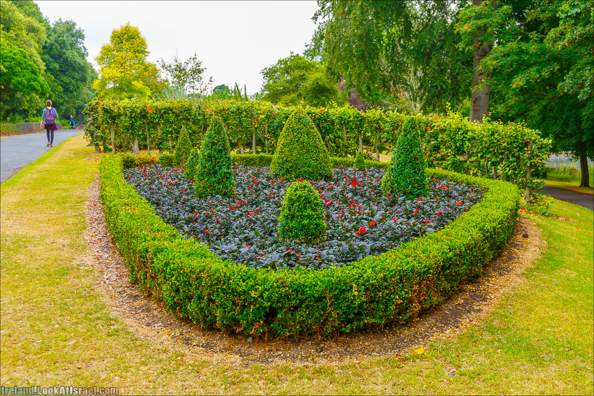Дублин - Феникс парк и его олени, Национальный музей лепреконов и его сказки - LookAtIsrael.com путешествует по Ирландии
