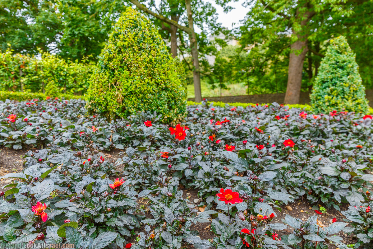 Дублин - Феникс парк и его олени, Национальный музей лепреконов и его сказки - LookAtIsrael.com путешествует по Ирландии