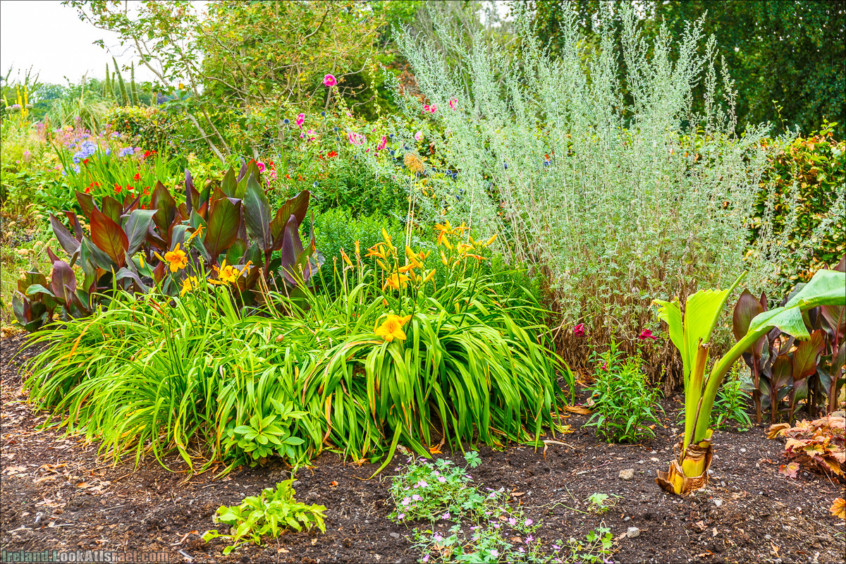 Дублин - Феникс парк и его олени, Национальный музей лепреконов и его сказки - LookAtIsrael.com путешествует по Ирландии