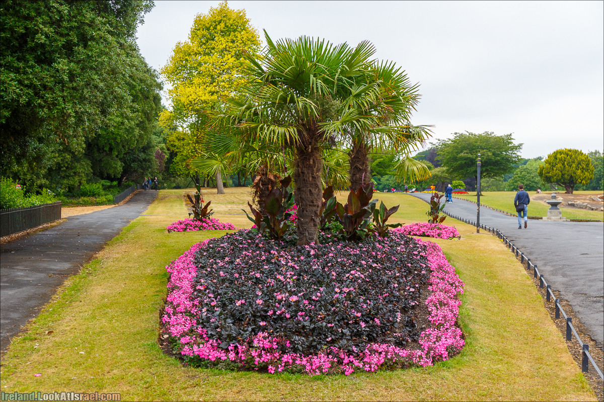 Дублин - Феникс парк и его олени, Национальный музей лепреконов и его сказки - LookAtIsrael.com путешествует по Ирландии