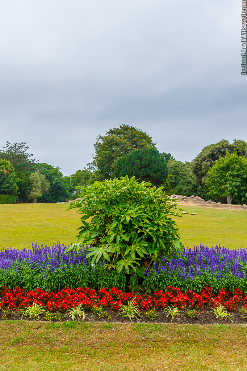 Дублин - Феникс парк и его олени, Национальный музей лепреконов и его сказки - LookAtIsrael.com путешествует по Ирландии