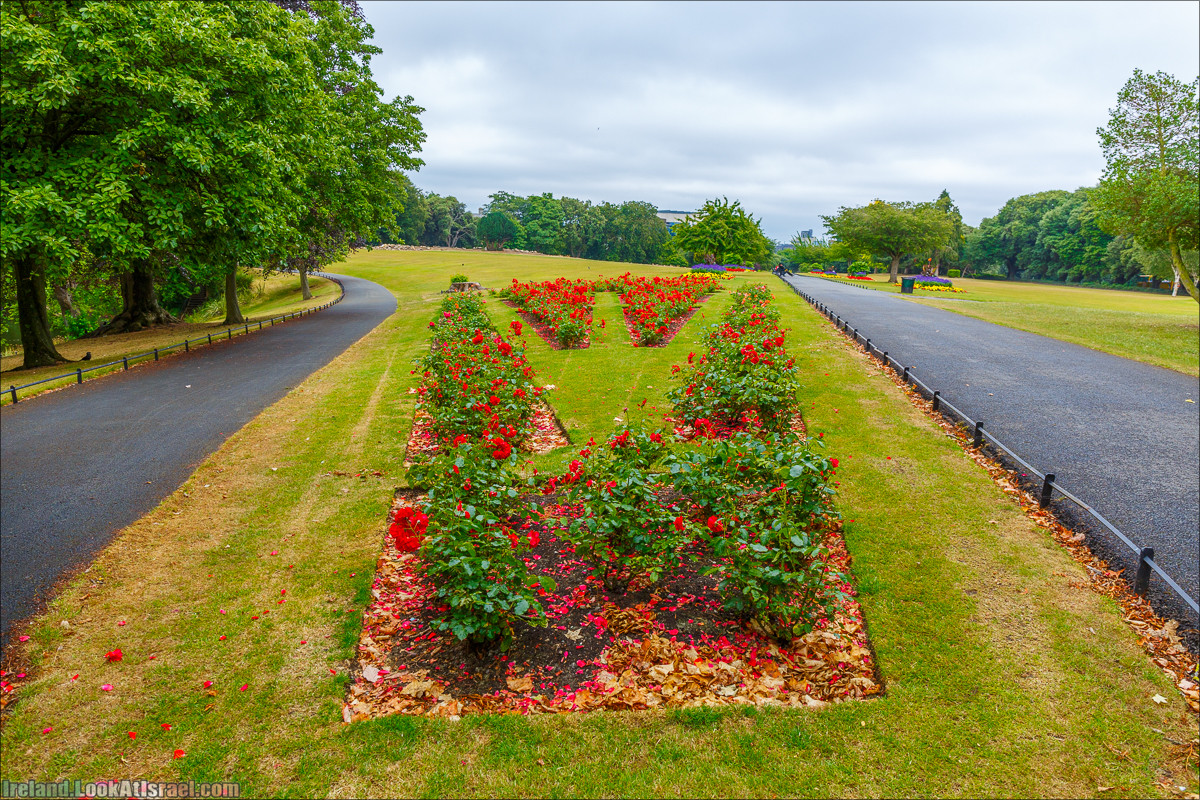 Дублин - Феникс парк и его олени, Национальный музей лепреконов и его сказки - LookAtIsrael.com путешествует по Ирландии