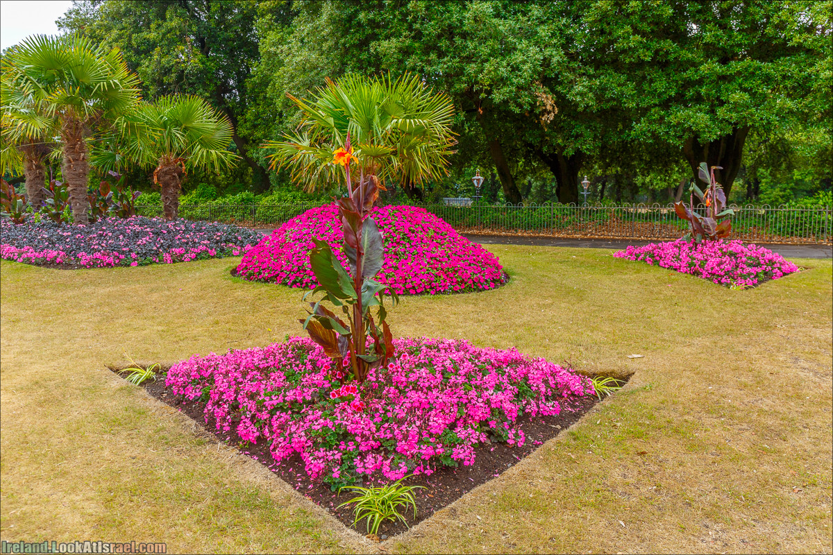 Дублин - Феникс парк и его олени, Национальный музей лепреконов и его сказки - LookAtIsrael.com путешествует по Ирландии