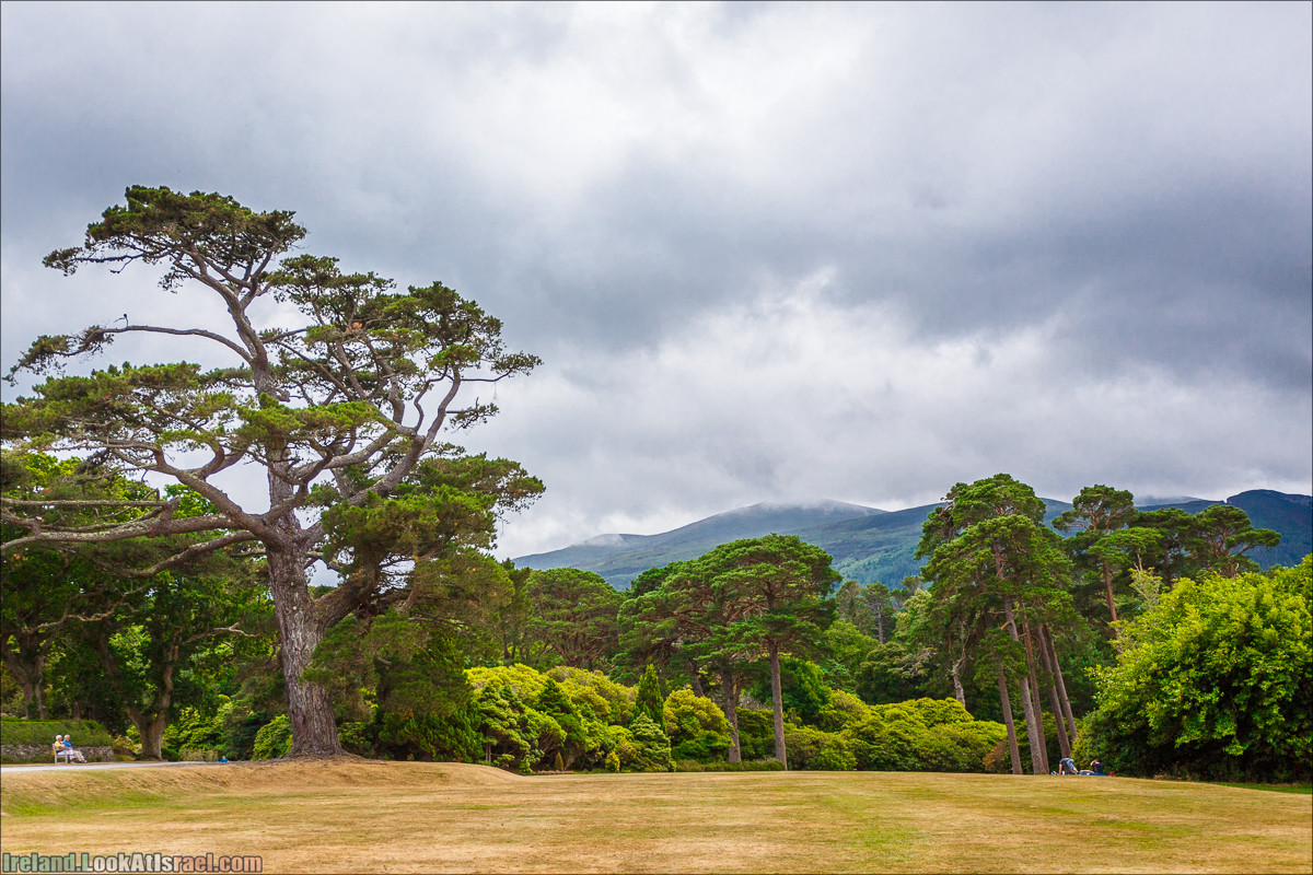 Кольцо Керри, Парк Килларни, Дом Макрос, водопад Торк, озёра | The Ring of Kerry, Killareny Park, Muckross House, Tork Waterfall, Meeting waters, Lough Leane, Mukcross lake, Upper lake | LookAtIsrael.com путешествует по Ирландии