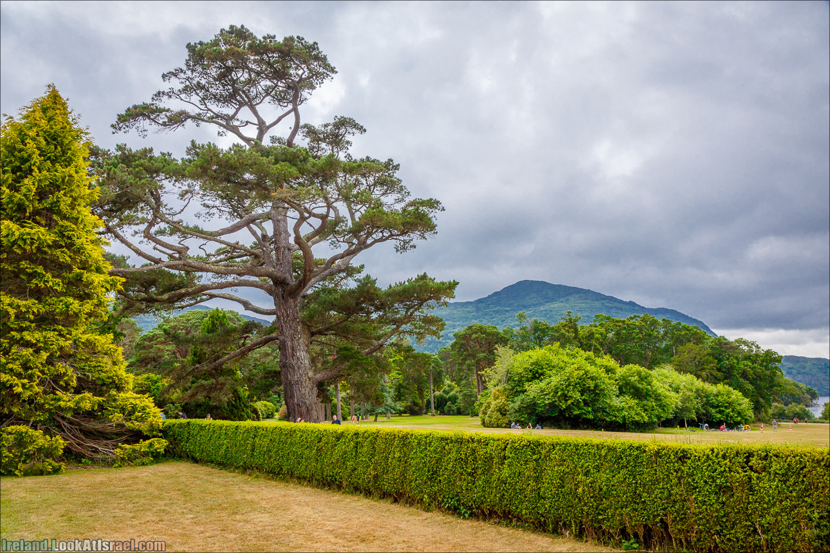 Кольцо Керри, Парк Килларни, Дом Макрос, водопад Торк, озёра | The Ring of Kerry, Killareny Park, Muckross House, Tork Waterfall, Meeting waters, Lough Leane, Mukcross lake, Upper lake | LookAtIsrael.com путешествует по Ирландии