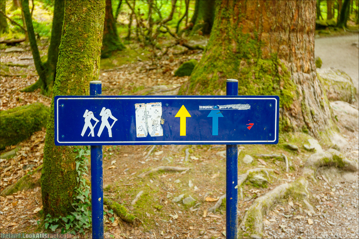 Кольцо Керри, Парк Килларни, Дом Макрос, водопад Торк, озёра | The Ring of Kerry, Killareny Park, Muckross House, Tork Waterfall, Meeting waters, Lough Leane, Mukcross lake, Upper lake | LookAtIsrael.com путешествует по Ирландии