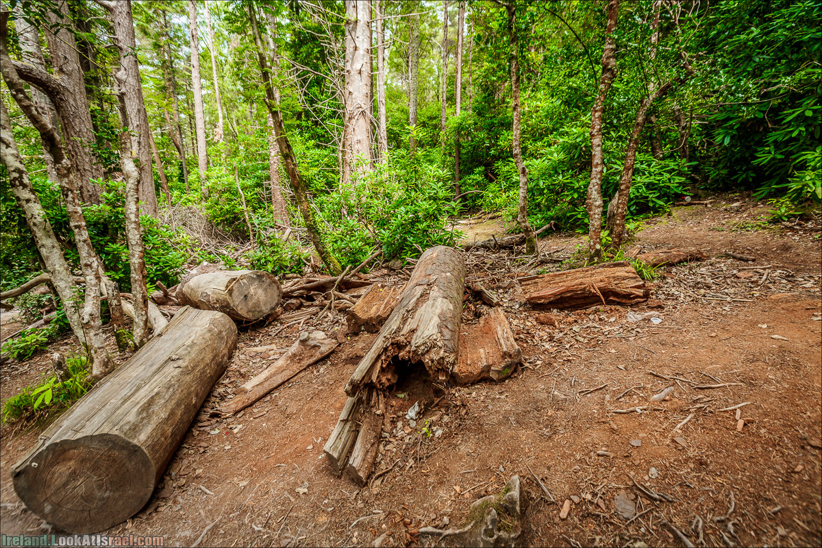 Кольцо Керри, Парк Килларни, Дом Макрос, водопад Торк, озёра | The Ring of Kerry, Killareny Park, Muckross House, Tork Waterfall, Meeting waters, Lough Leane, Mukcross lake, Upper lake | LookAtIsrael.com путешествует по Ирландии