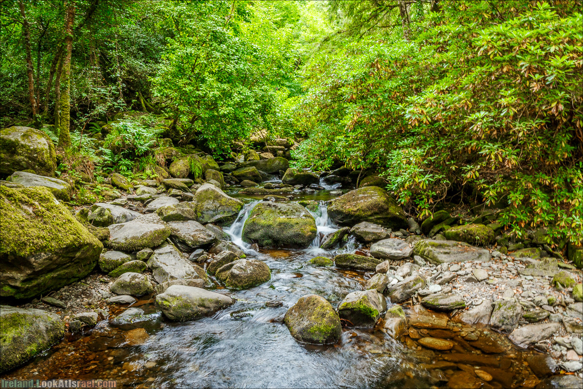 Кольцо Керри, Парк Килларни, Дом Макрос, водопад Торк, озёра | The Ring of Kerry, Killareny Park, Muckross House, Tork Waterfall, Meeting waters, Lough Leane, Mukcross lake, Upper lake | LookAtIsrael.com путешествует по Ирландии