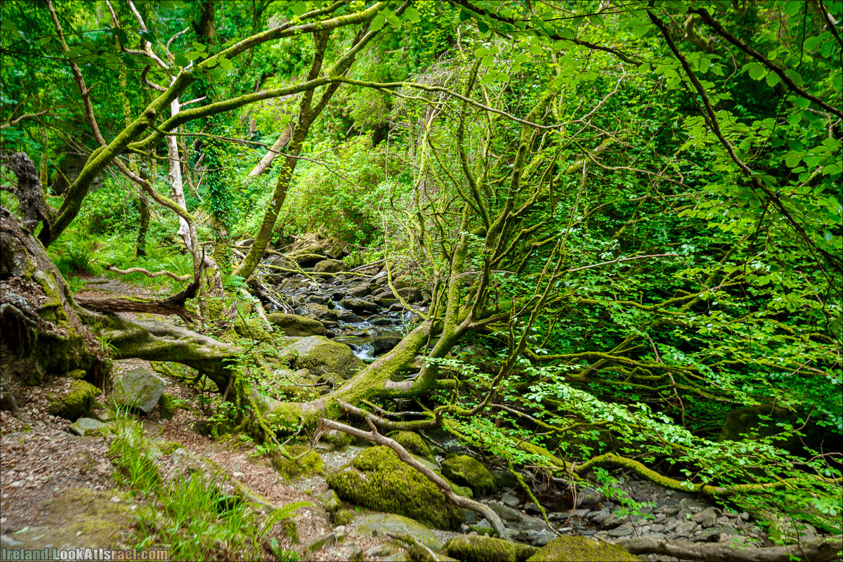 Кольцо Керри, Парк Килларни, Дом Макрос, водопад Торк, озёра | The Ring of Kerry, Killareny Park, Muckross House, Tork Waterfall, Meeting waters, Lough Leane, Mukcross lake, Upper lake | LookAtIsrael.com путешествует по Ирландии