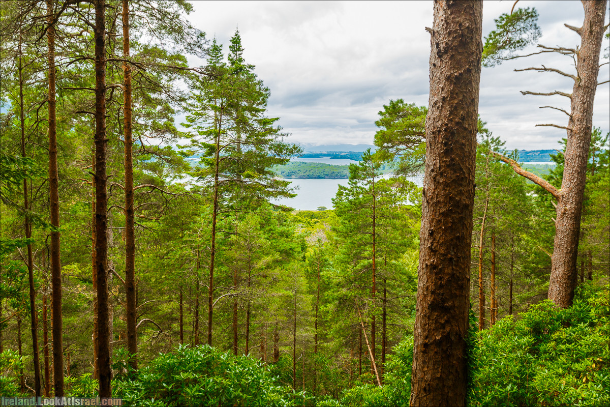 Кольцо Керри, Парк Килларни, Дом Макрос, водопад Торк, озёра | The Ring of Kerry, Killareny Park, Muckross House, Tork Waterfall, Meeting waters, Lough Leane, Mukcross lake, Upper lake | LookAtIsrael.com путешествует по Ирландии