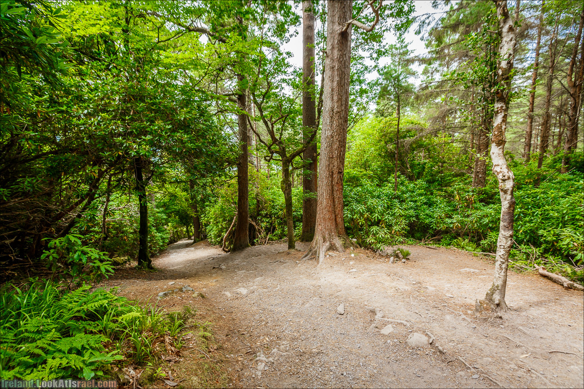 Кольцо Керри, Парк Килларни, Дом Макрос, водопад Торк, озёра | The Ring of Kerry, Killareny Park, Muckross House, Tork Waterfall, Meeting waters, Lough Leane, Mukcross lake, Upper lake | LookAtIsrael.com путешествует по Ирландии