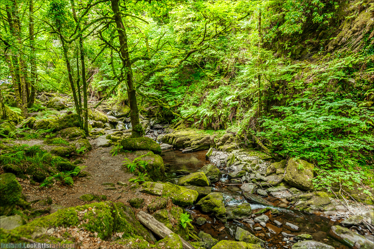 Кольцо Керри, Парк Килларни, Дом Макрос, водопад Торк, озёра | The Ring of Kerry, Killareny Park, Muckross House, Tork Waterfall, Meeting waters, Lough Leane, Mukcross lake, Upper lake | LookAtIsrael.com путешествует по Ирландии