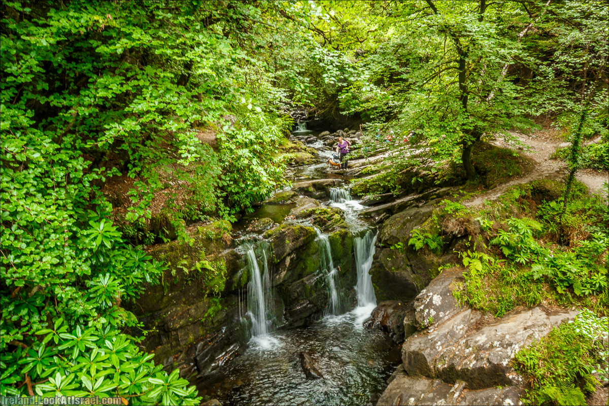Кольцо Керри, Парк Килларни, Дом Макрос, водопад Торк, озёра | The Ring of Kerry, Killareny Park, Muckross House, Tork Waterfall, Meeting waters, Lough Leane, Mukcross lake, Upper lake | LookAtIsrael.com путешествует по Ирландии