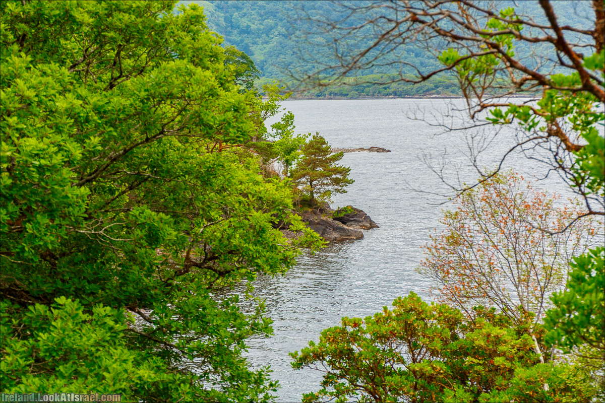 Кольцо Керри, Парк Килларни, Дом Макрос, водопад Торк, озёра | The Ring of Kerry, Killareny Park, Muckross House, Tork Waterfall, Meeting waters, Lough Leane, Mukcross lake, Upper lake | LookAtIsrael.com путешествует по Ирландии