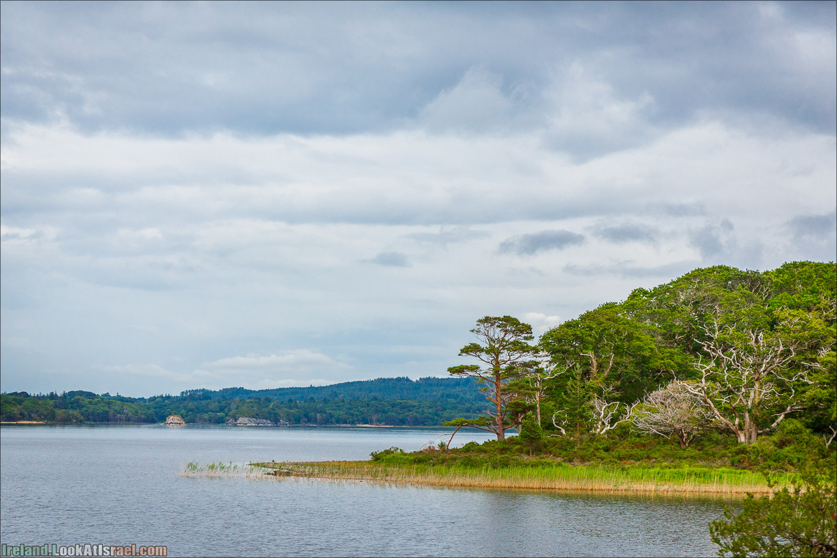 Кольцо Керри, Парк Килларни, Дом Макрос, водопад Торк, озёра | The Ring of Kerry, Killareny Park, Muckross House, Tork Waterfall, Meeting waters, Lough Leane, Mukcross lake, Upper lake | LookAtIsrael.com путешествует по Ирландии