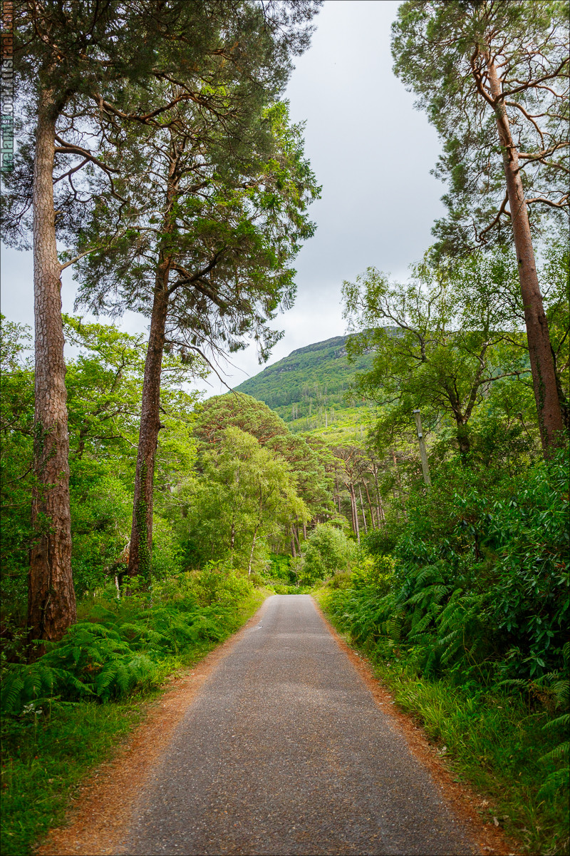 Кольцо Керри, Парк Килларни, Дом Макрос, водопад Торк, озёра | The Ring of Kerry, Killareny Park, Muckross House, Tork Waterfall, Meeting waters, Lough Leane, Mukcross lake, Upper lake | LookAtIsrael.com путешествует по Ирландии
