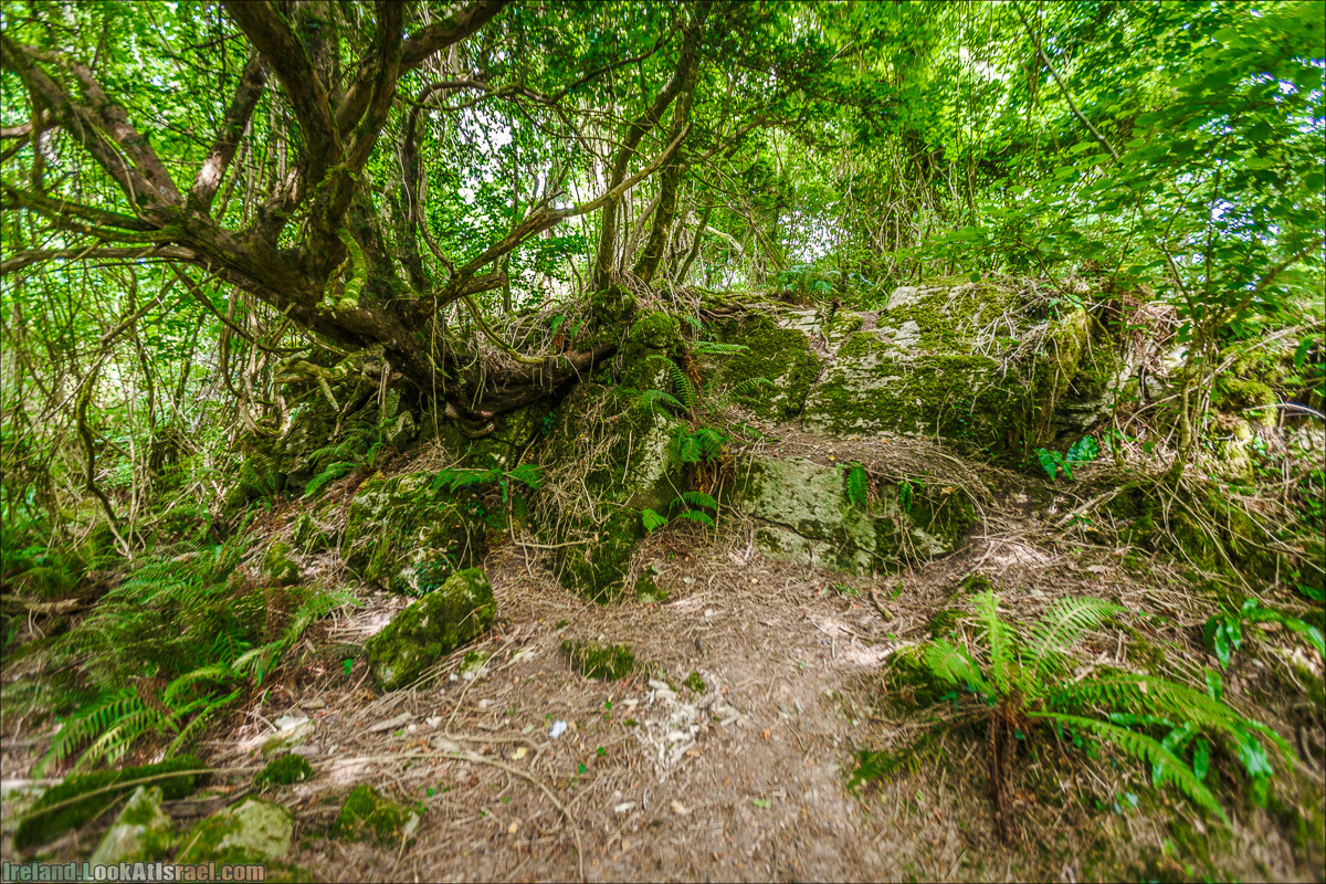 Кольцо Керри, Парк Килларни, озеро Лох-Лейн, аббатство Макрос | The Ring of Kerry, Kellareny Park, Muckross Abbey, Lough Leane | LookAtIsrael.com путешествует по Ирландии