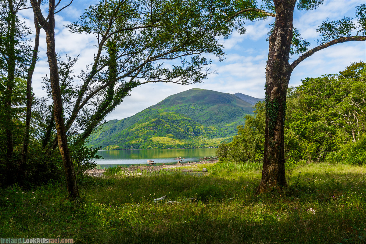 Кольцо Керри, Парк Килларни, озеро Лох-Лейн, аббатство Макрос | The Ring of Kerry, Kellareny Park, Muckross Abbey, Lough Leane | LookAtIsrael.com путешествует по Ирландии
