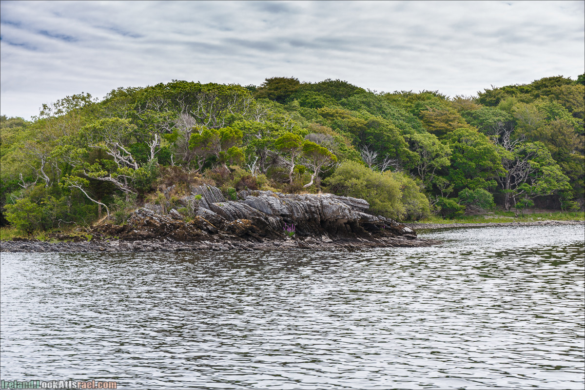Кольцо Керри, Парк Килларни, озеро Лох-Лейн, аббатство Макрос | The Ring of Kerry, Kellareny Park, Muckross Abbey, Lough Leane | LookAtIsrael.com путешествует по Ирландии
