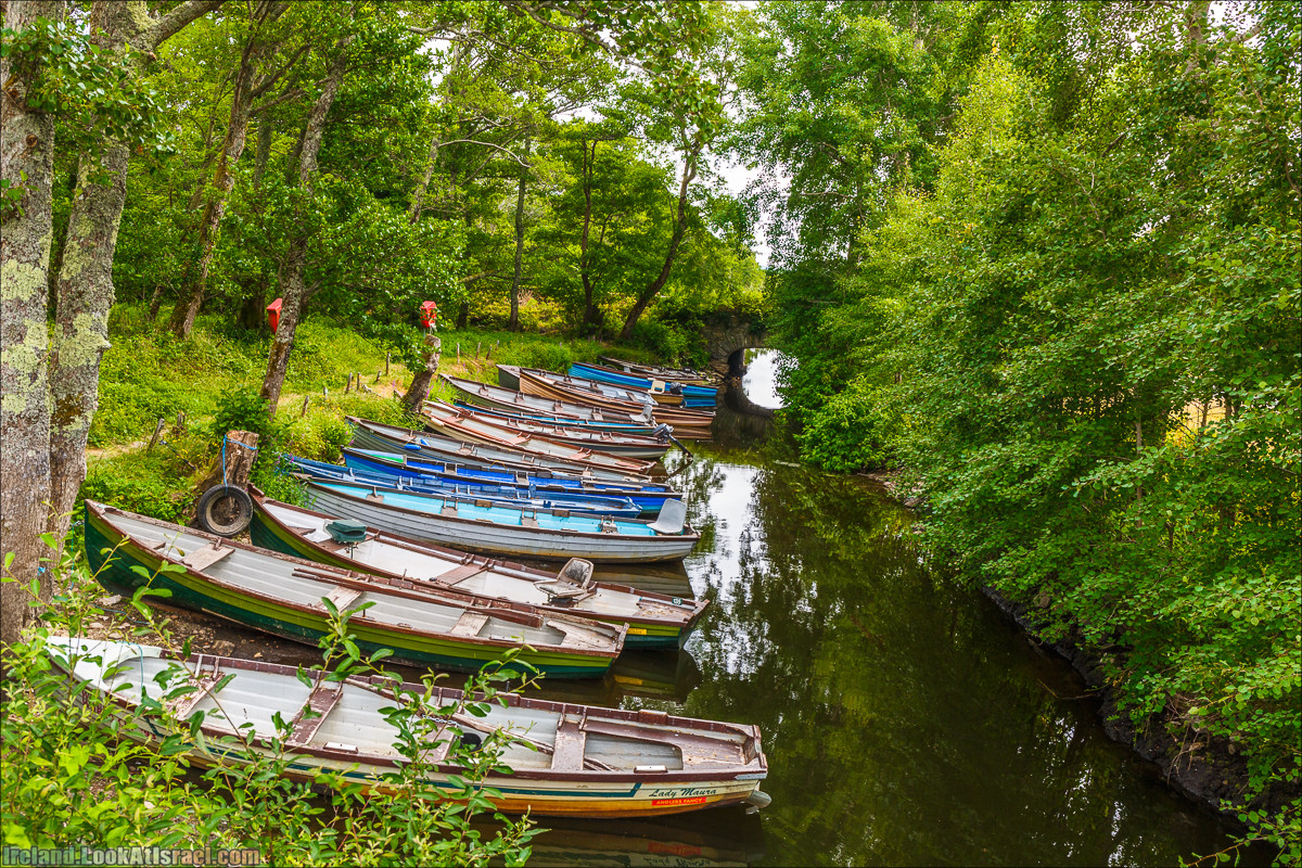 Кольцо Керри, Парк Килларни, озеро Лох-Лейн, аббатство Макрос | The Ring of Kerry, Kellareny Park, Muckross Abbey, Lough Leane | LookAtIsrael.com путешествует по Ирландии