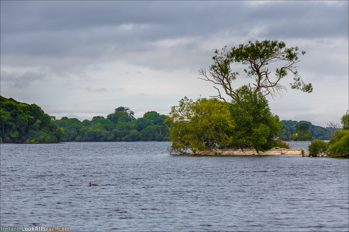 Кольцо Керри, Парк Килларни, озеро Лох-Лейн, аббатство Макрос | The Ring of Kerry, Kellareny Park, Muckross Abbey, Lough Leane | LookAtIsrael.com путешествует по Ирландии