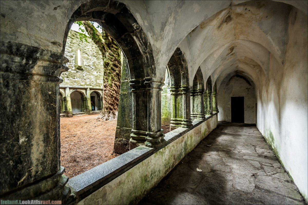 Кольцо Керри, Парк Килларни, озеро Лох-Лейн, аббатство Макрос | The Ring of Kerry, Kellareny Park, Muckross Abbey, Lough Leane | LookAtIsrael.com путешествует по Ирландии