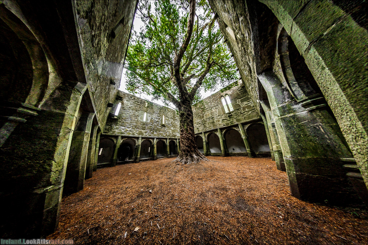 Кольцо Керри, Парк Килларни, озеро Лох-Лейн, аббатство Макрос | The Ring of Kerry, Kellareny Park, Muckross Abbey, Lough Leane | LookAtIsrael.com путешествует по Ирландии