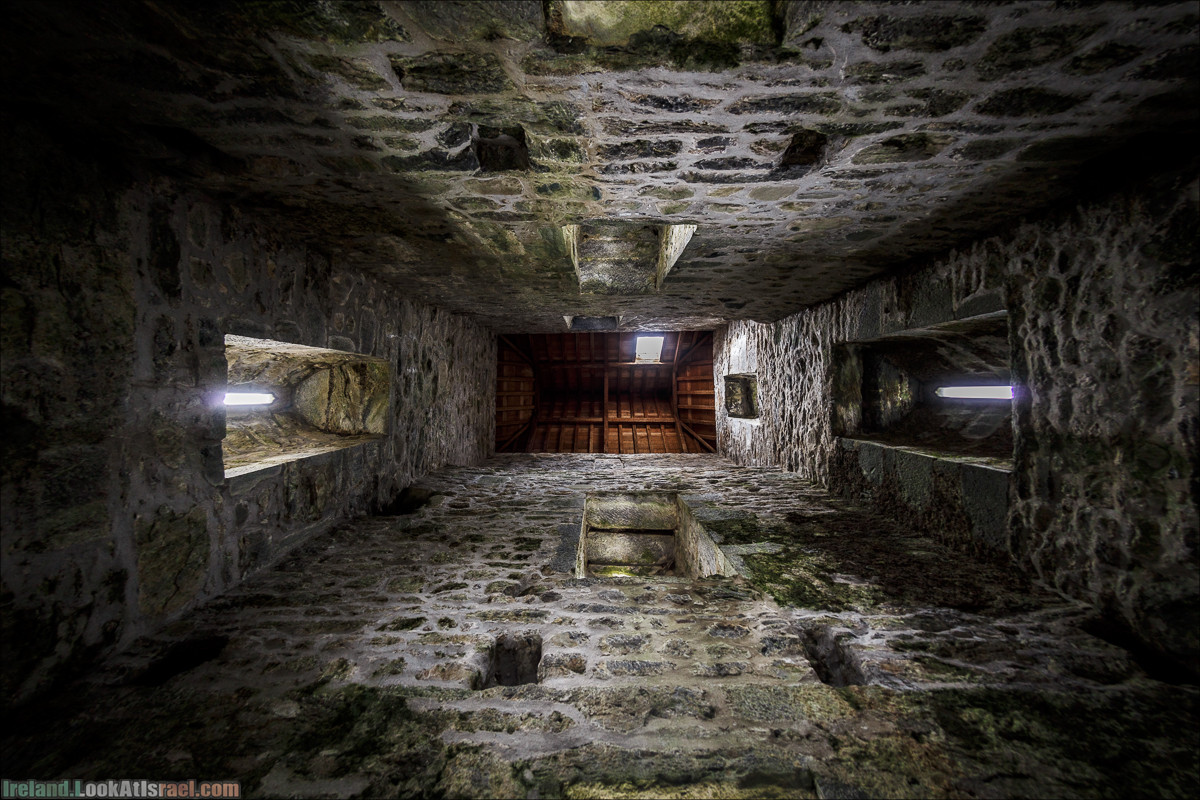 Кольцо Керри, Парк Килларни, озеро Лох-Лейн, аббатство Макрос | The Ring of Kerry, Kellareny Park, Muckross Abbey, Lough Leane | LookAtIsrael.com путешествует по Ирландии