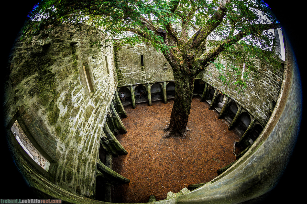 Кольцо Керри, Парк Килларни, озеро Лох-Лейн, аббатство Макрос | The Ring of Kerry, Kellareny Park, Muckross Abbey, Lough Leane | LookAtIsrael.com путешествует по Ирландии